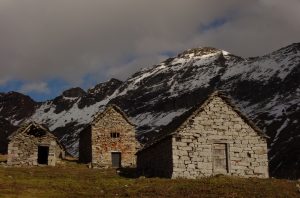 Scopri di più sull'articolo Di pietre, di fiori, di nevi: giro all’Alpe di Pojala